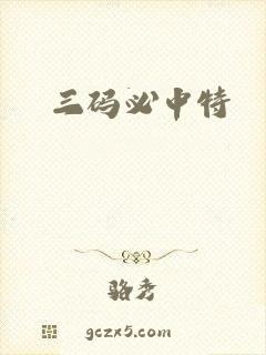 三码必中特
