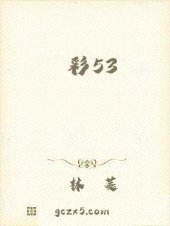 彩53